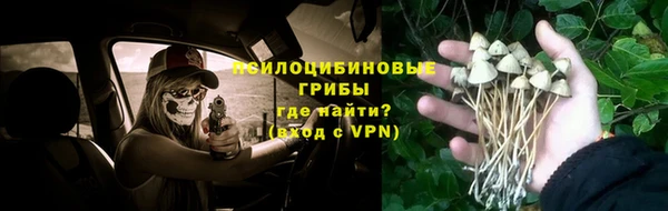 прущие крисы Магас