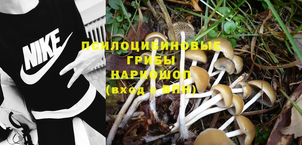 MESCALINE Магадан