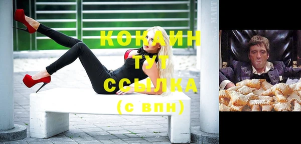 прущие крисы Магас