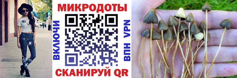 Галлюциногенные грибы ЛСД  наркошоп  Хадыженск 